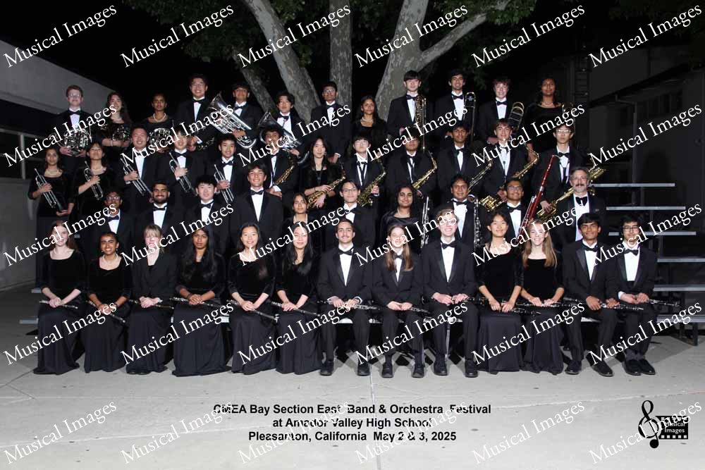 Musical Images